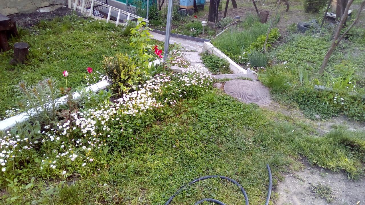 Guest House Khatuna Боржоми Екстериор снимка